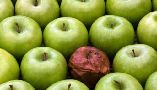 An image of a bunch of apples and one bad apple